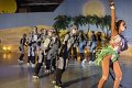 Lionking 0484